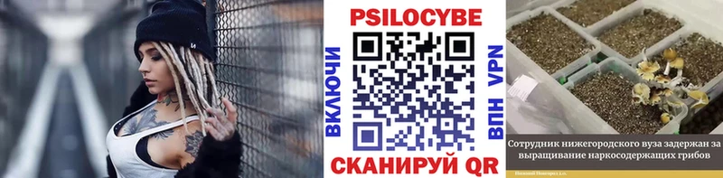 Галлюциногенные грибы Psilocybe  наркота  Дегтярск 