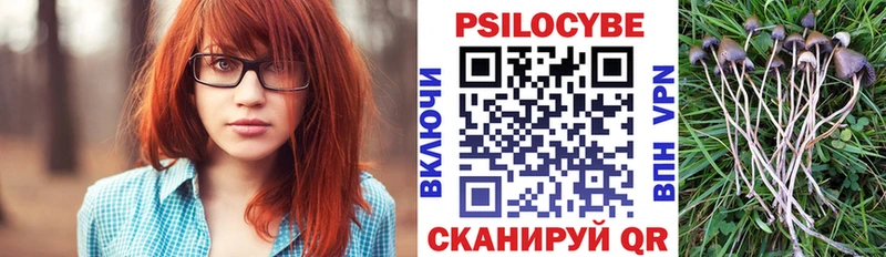 Галлюциногенные грибы мухоморы Дегтярск